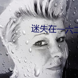 迷失在一六二九
