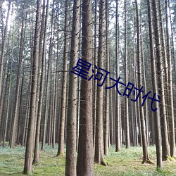 星河大时(時)代