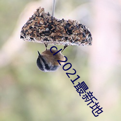 cl 2021最新地
