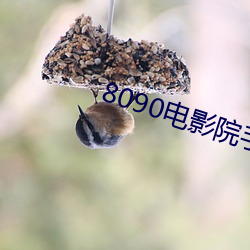 8090电影院手机网 （正经八百）