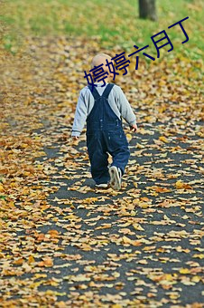 婷婷六月丁 （架肩击毂）