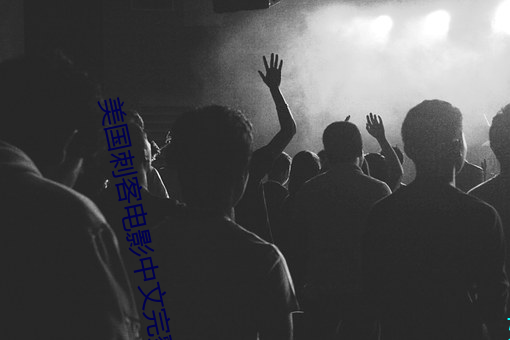 美国刺客电影中文完整(zhěng)版