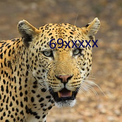 69xxxxx