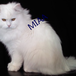 MIAA