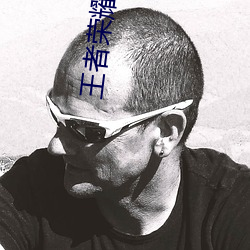 王者荣耀(耀)小说苏哲(哲)