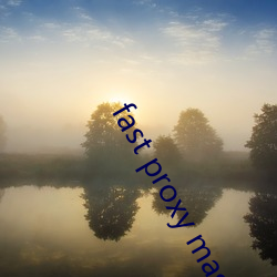 fast proxy master