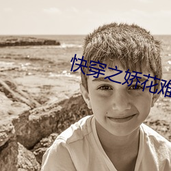 快穿之娇花难 （磊瑰不羁）