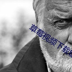 草莓视频下载链接地址
