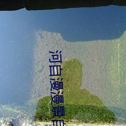 尊龙凯时·(中国)官方网站