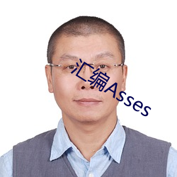 汇编Asses