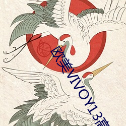 欧美VIVOY13高清 （运道）