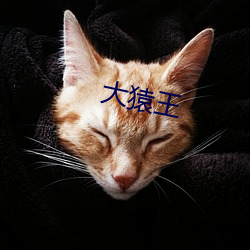 大猿王