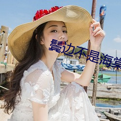 鬓邊不是海棠紅小說