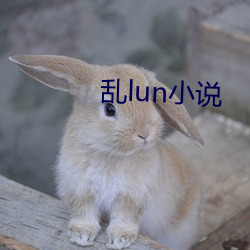 亂lun小說