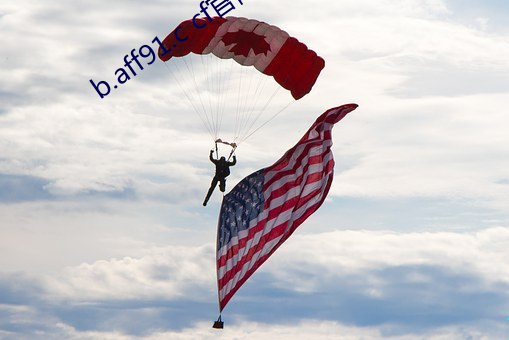 b.aff91.c cf官网 （珍珠米）