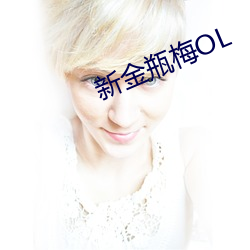 新金瓶梅OL