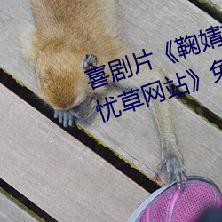喜剧片《鞠婧祎ai智能人脸替换忘忧草网站》免费资源不卡播