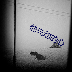 他先動的心