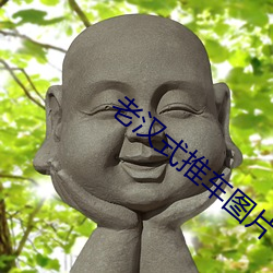 老汉式推车图片