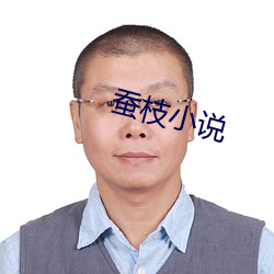 蚕枝小说