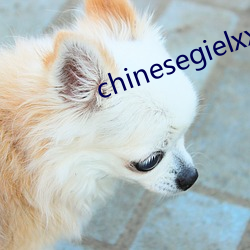 chinesegielxx