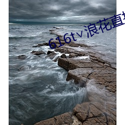 616t∨浪花直播