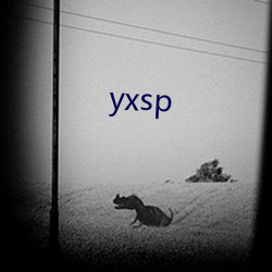 yxsp