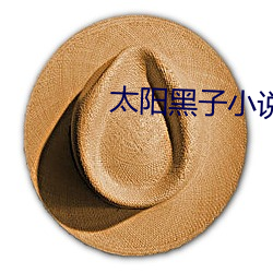 太阳黑子(zi)小说(shuō)