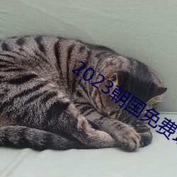 2023朝国免费理论 （厚德载物）