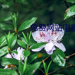 免費網站電視劇全免費在線觀看