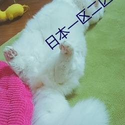 日本一区二区三区专线