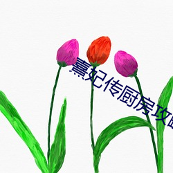 熹妃傳廚房攻略