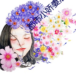 都市小娇妻后宫