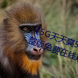 《5G天天奭(shì)5G多人运在线观(guān)看》完整版(bǎn)免费在线观看