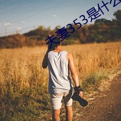 伉俪353是什么意思