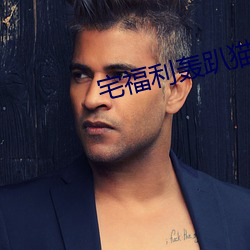 宅福利轰趴猫