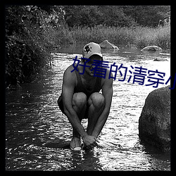 好看的清穿小说