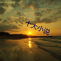 十大(大)小说