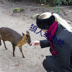 狼人綜合處