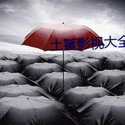 土鳖影视大全