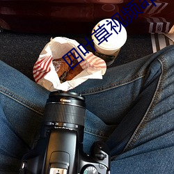 四叶草视频app