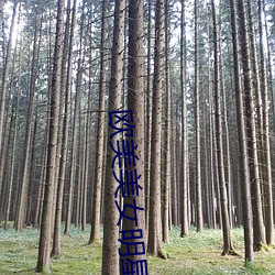 欧美美女明星