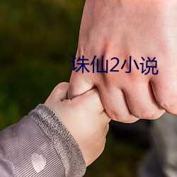 诛(誅)仙2小说