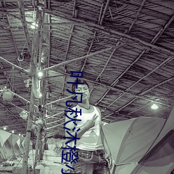 叶凡秋沐橙小说