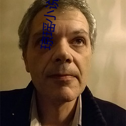 琼瑶小说全集 （南郭先生）