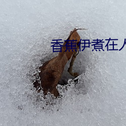 香蕉(jiāo)伊煮(zhǔ)在(zài)人线2022被疯传(chuán)