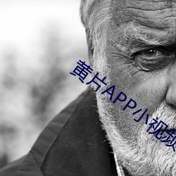 黄片APP小视频