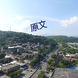 原文