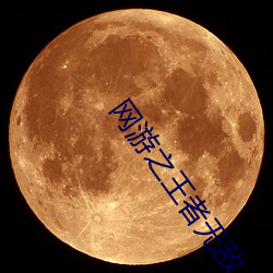 网游之王者无敌