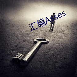 汇编Asses （翕动）